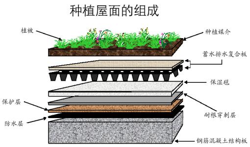 塑料排水板在楼顶花园上的应用